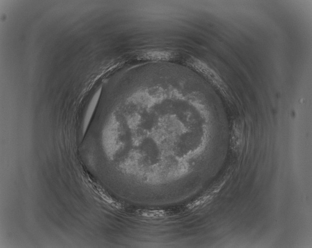 X0000082720355200702091818