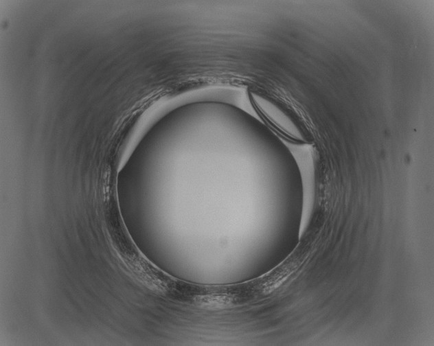 X0000082720356200702091818