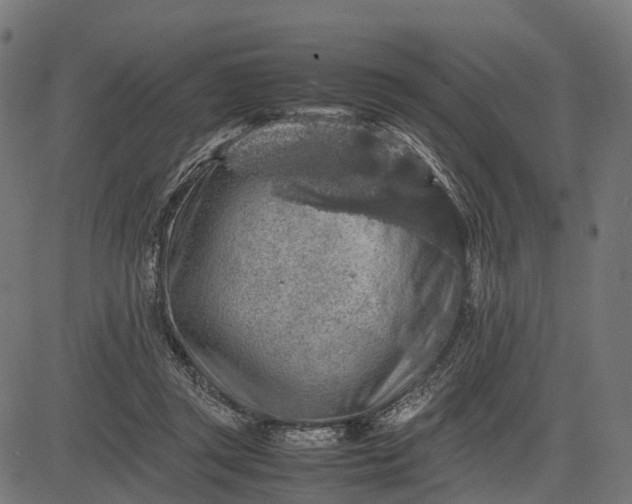 X0000082720357200702091818