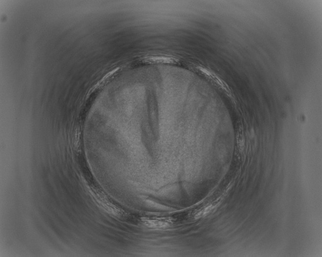 X0000082720359200702091818