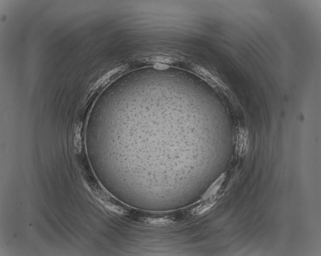 X0000082720360200702091818