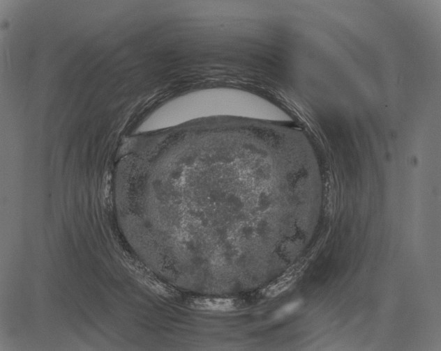 X0000082720361200702091818