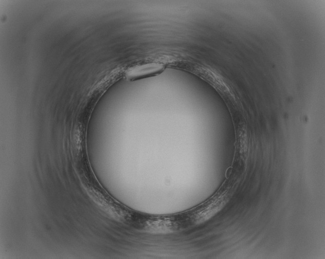 X0000082720362200702091818