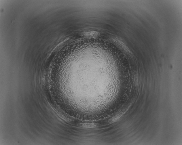 X0000082720363200702091818