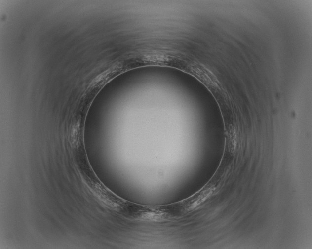 X0000082720364200702091818