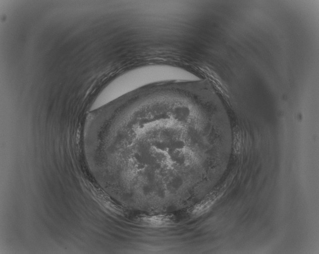 X0000082720365200702091818