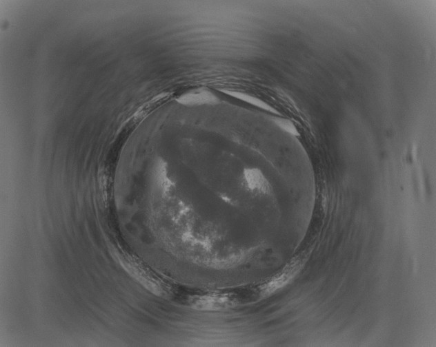 X0000082720366200702091818