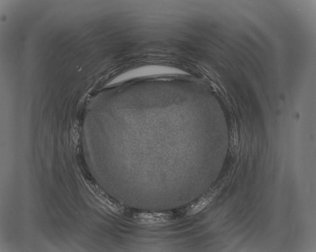 X0000082720367200702091818