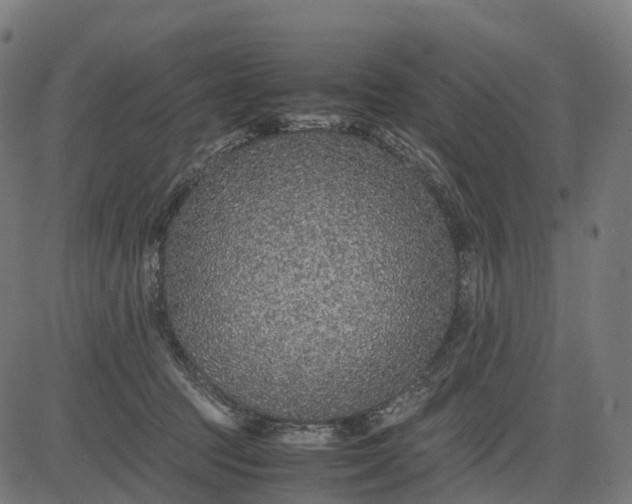 X0000082720369200702091818