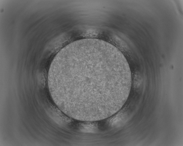 X0000082720370200702091818