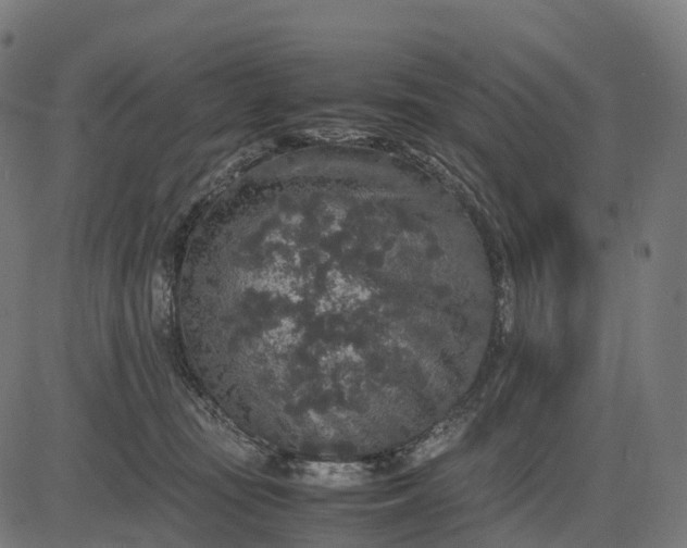 X0000082720371200702091818