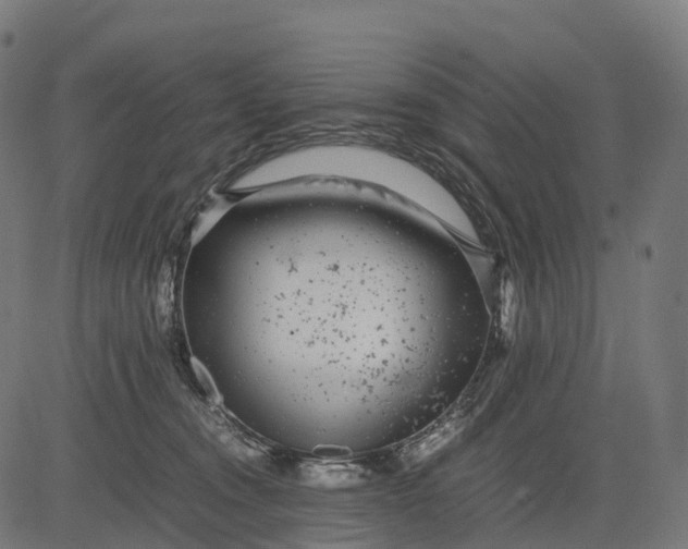 X0000082720372200702091818