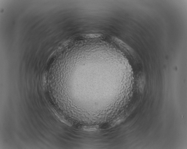 X0000082720373200702091818