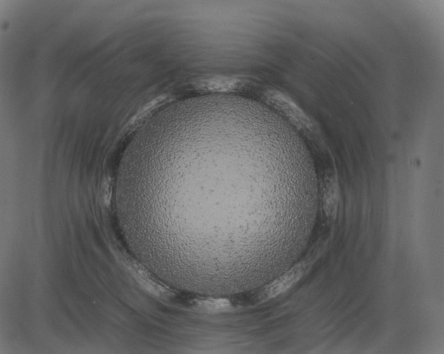 X0000082720374200702091819