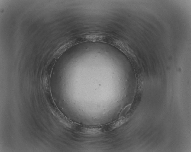 X0000082720375200702091819