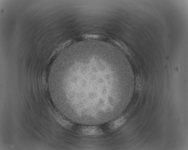 X0000082720377200702091819