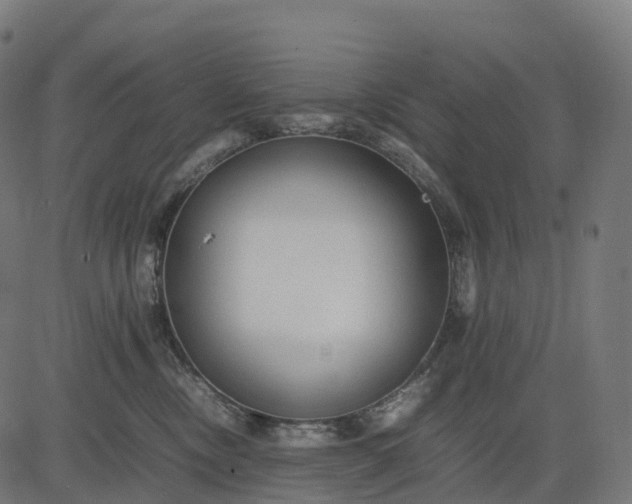 X0000082720378200702091819