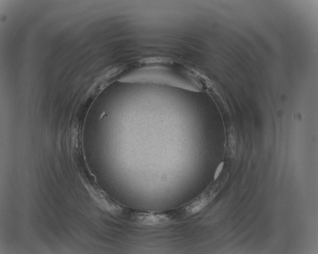 X0000082720379200702091819