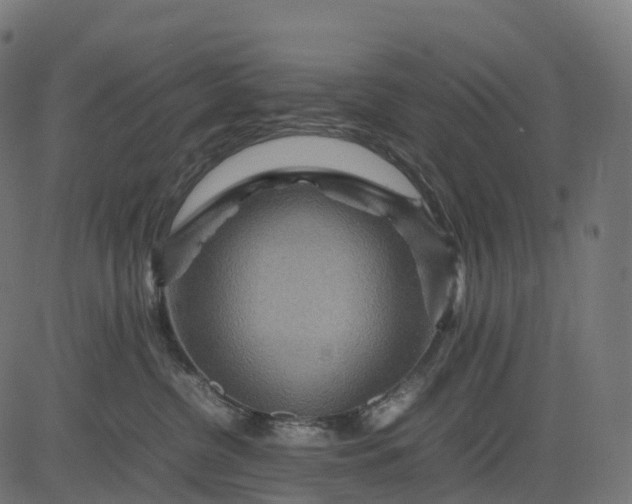 X0000082720380200702091819