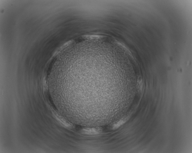 X0000082720381200702091819