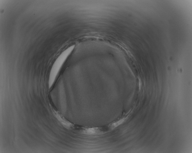 X0000082720382200702091819