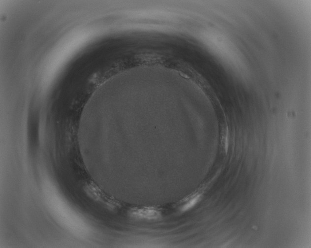 X0000082720383200702091819