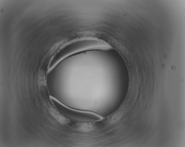 X0000082720384200702091819