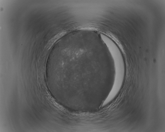 X0000082720385200702091818