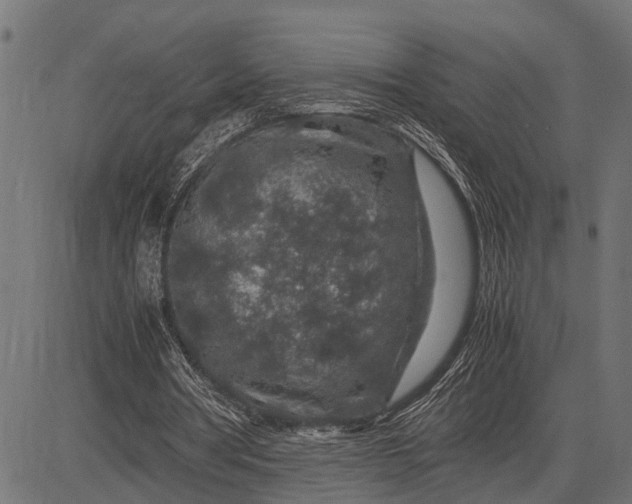 X0000082720386200702091818