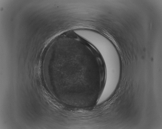 X0000082720387200702091818