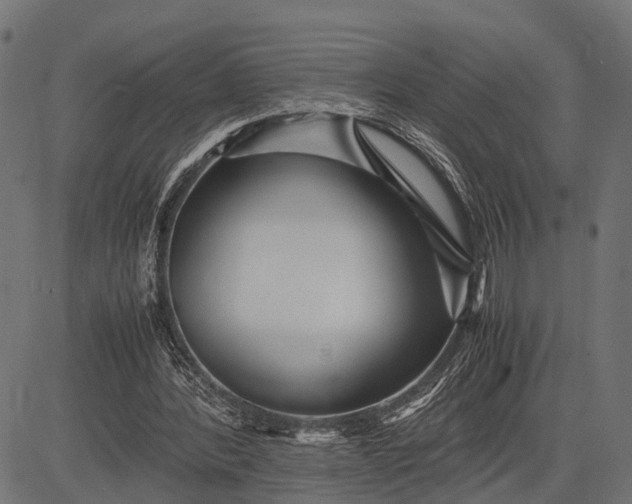 X0000082720388200702091818