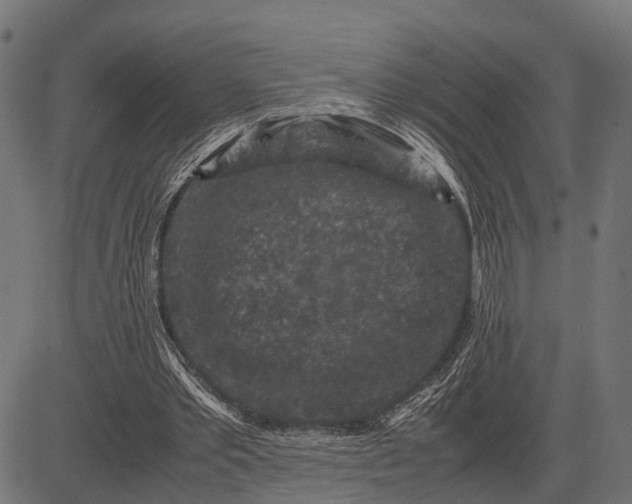 X0000082720389200702091818