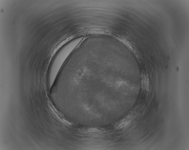 X0000082720390200702091818