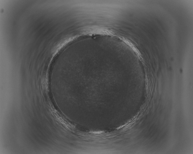 X0000082720391200702091818