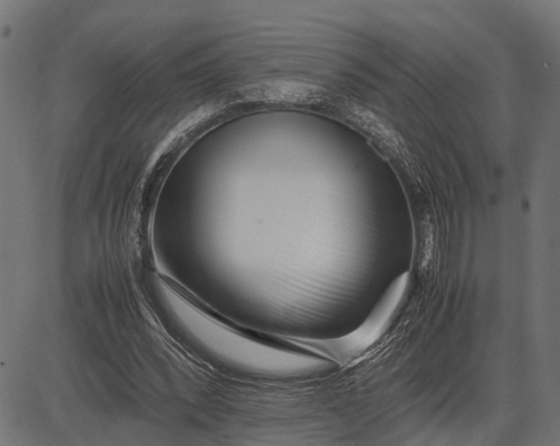 X0000082720392200702091818