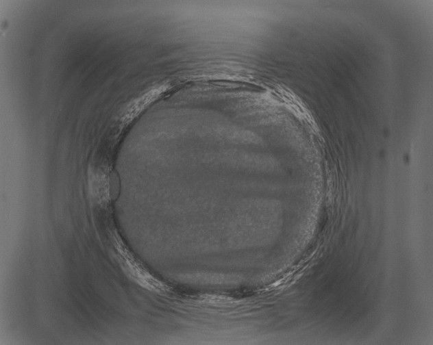 X0000082720393200702091818