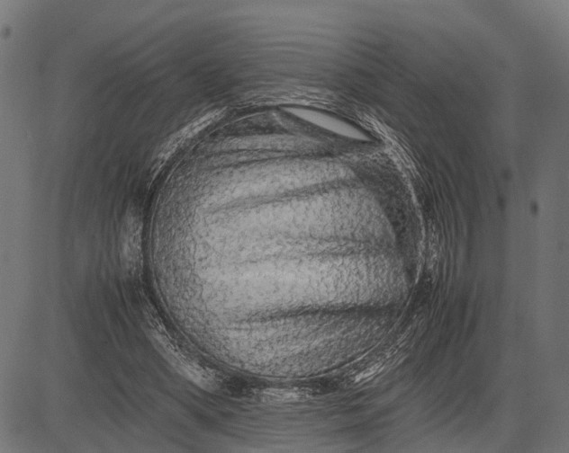 X0000082720394200702091818