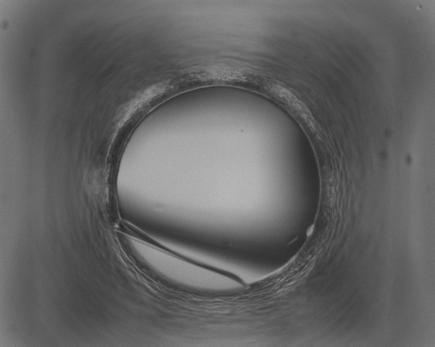 X0000082720395200702091818