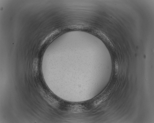 X0000082720396200702091818