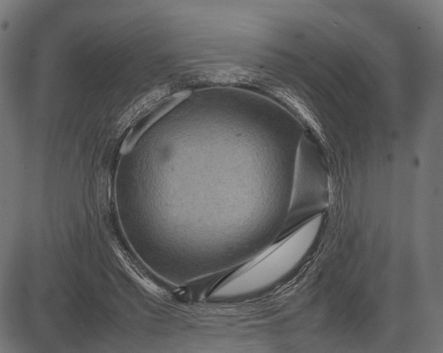 X0000082720397200702091818