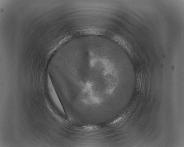 X0000082720398200702091818