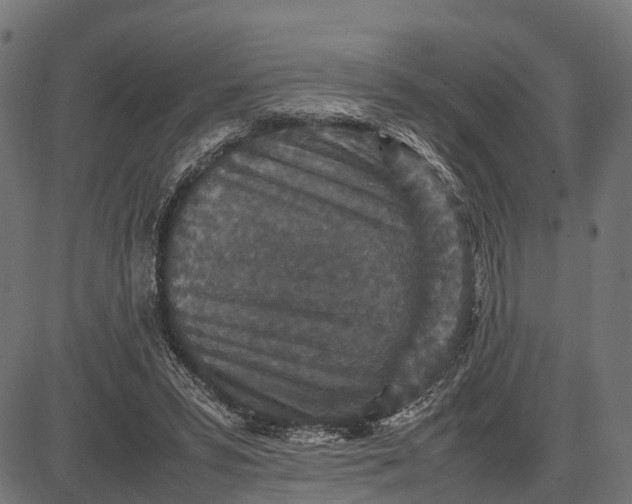 X0000082720399200702091818