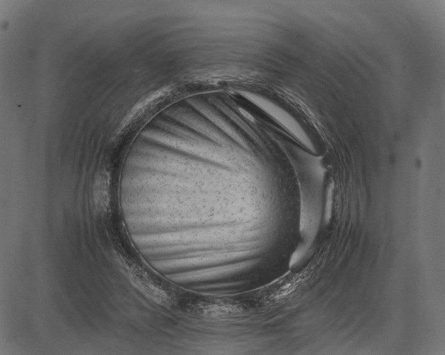 X0000082720400200702091818