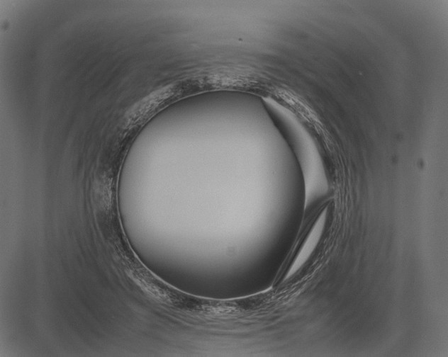 X0000082720401200702091818