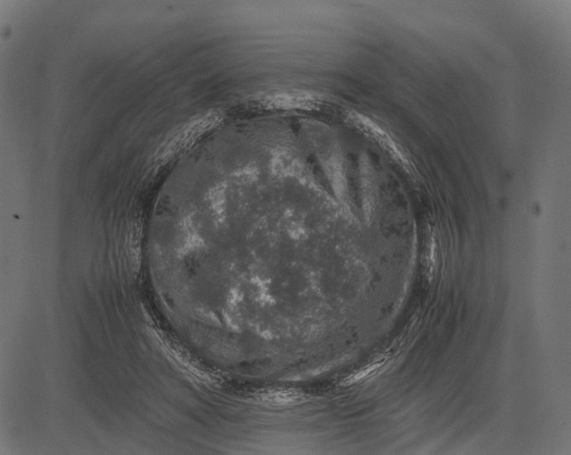 X0000082720402200702091818