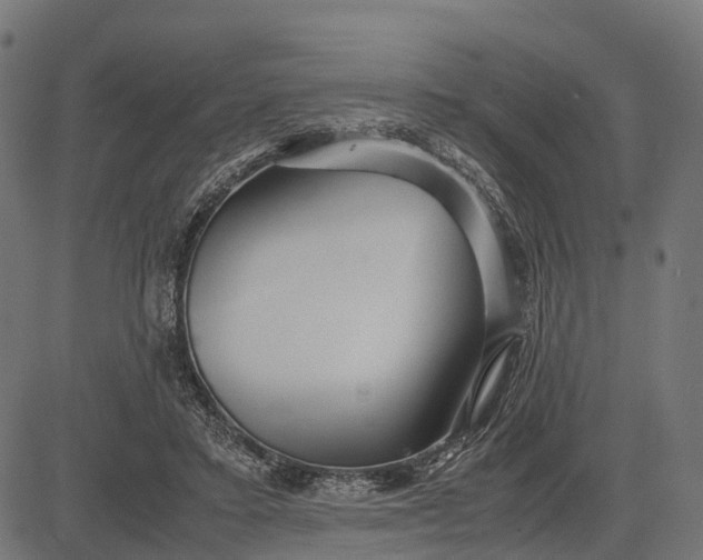 X0000082720403200702091818