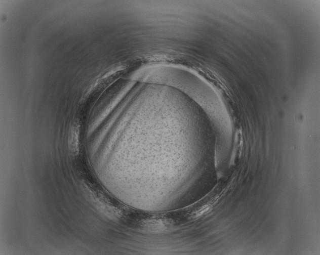 X0000082720404200702091818