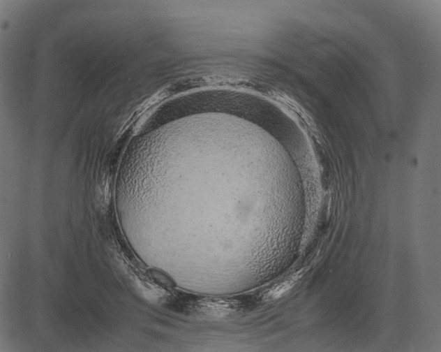 X0000082720405200702091818