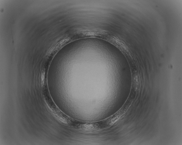 X0000082720406200702091818