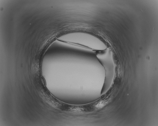 X0000082720407200702091818